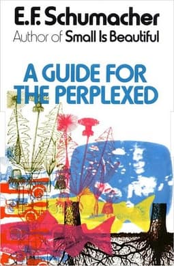 A Guide for the Perplexed cover