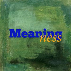 Meaningness cover