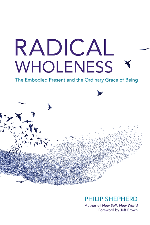 Radical Wholeness cover
