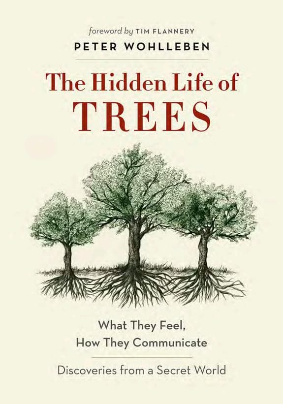 The Hidden Life of Trees cover