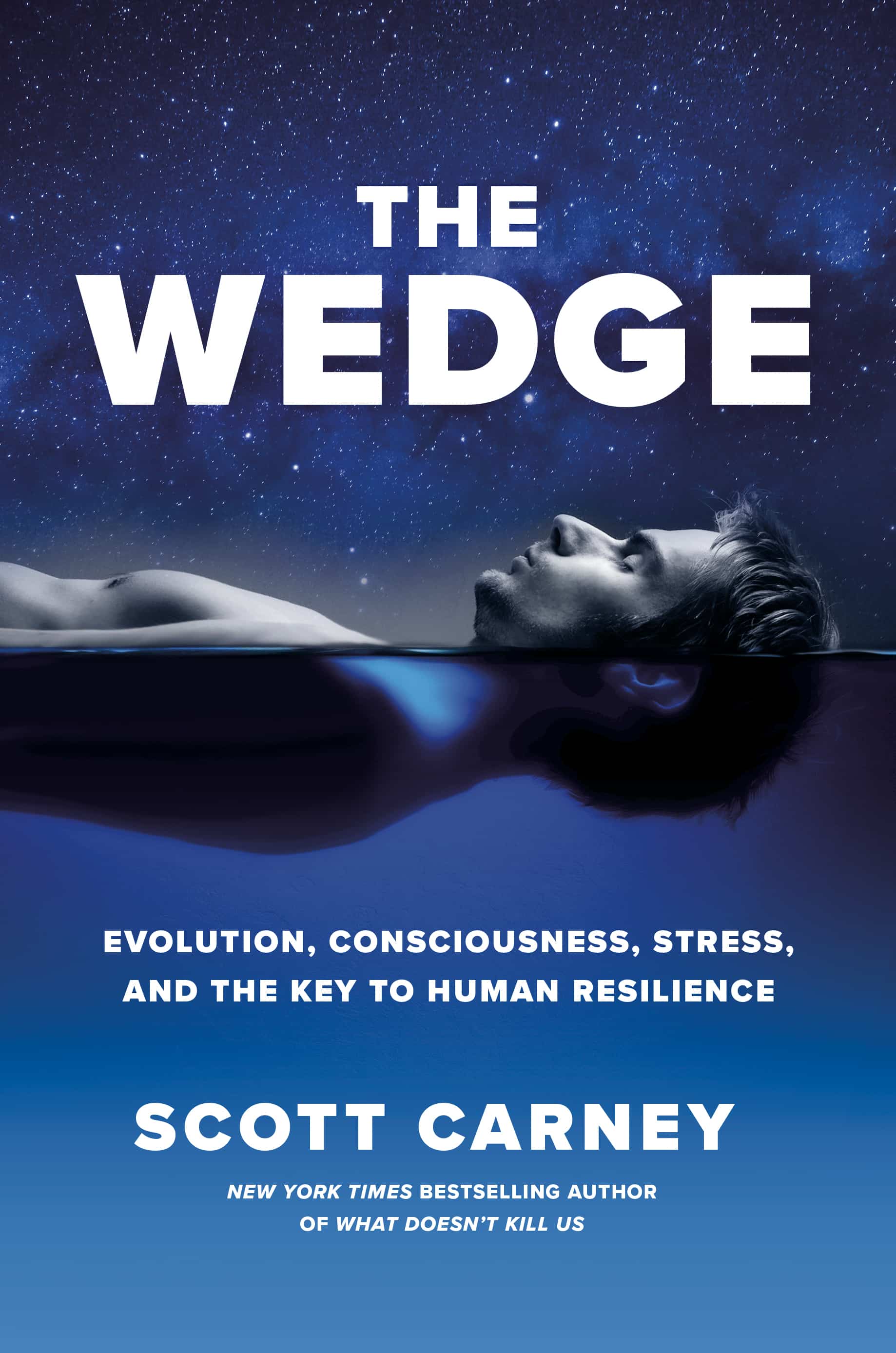 The Wedge cover